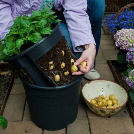 Nádoba na výsadbu zemiakov - PotatoPot