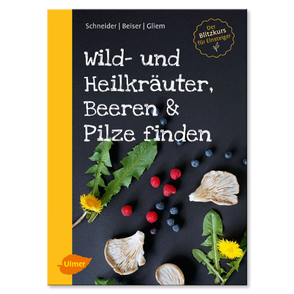 Kniha: Wild-und Heilkräuter, Beeren und Pilze finden